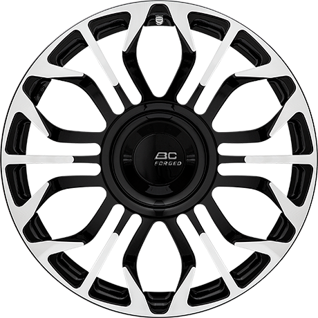 BC Forged Monoblock GW36-CX